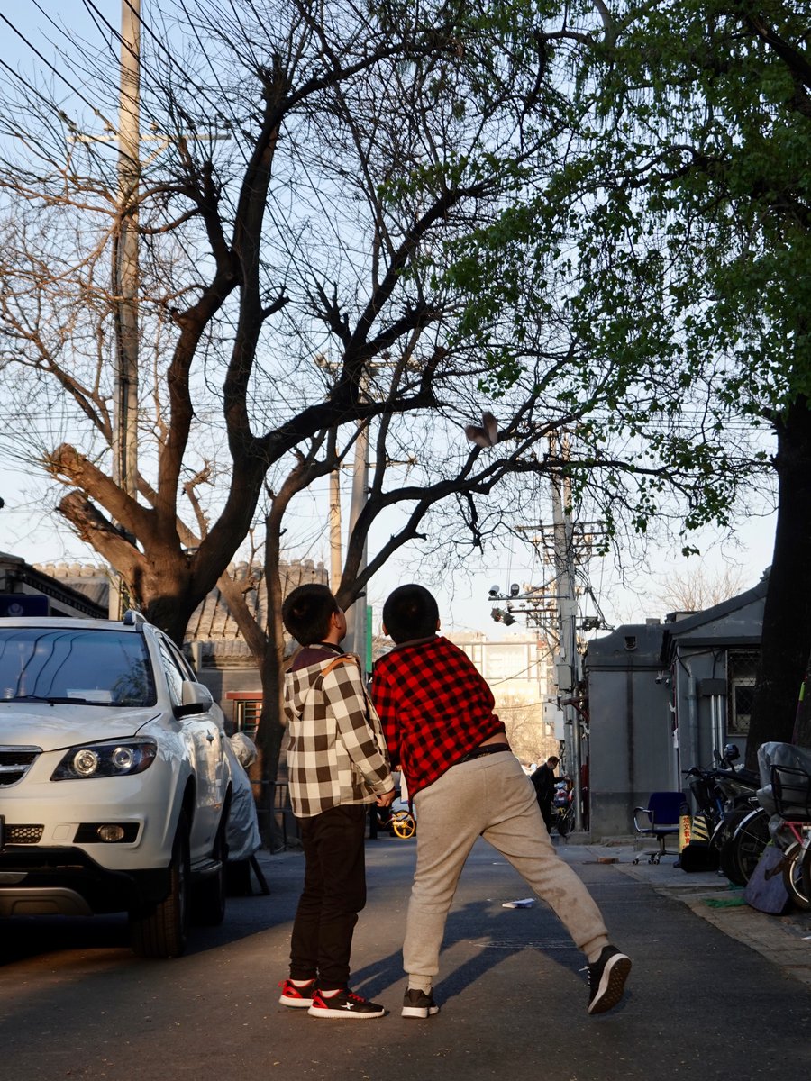 wanglai_yu's tweet image. When world non-stop (children 2)