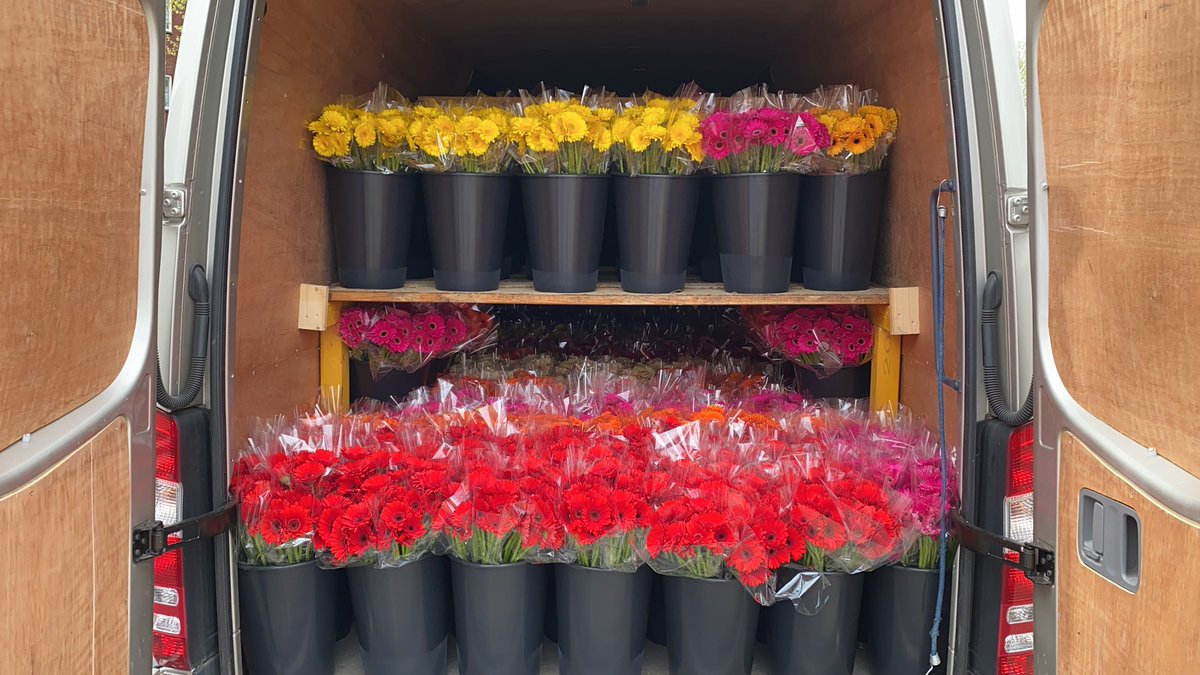 RCLandgraaf's tweet photo. Een week geleden alweer ... #dankbaar #bloemen #fijngevoel #rclandgraaf https://t.co/BXEG0CEY65