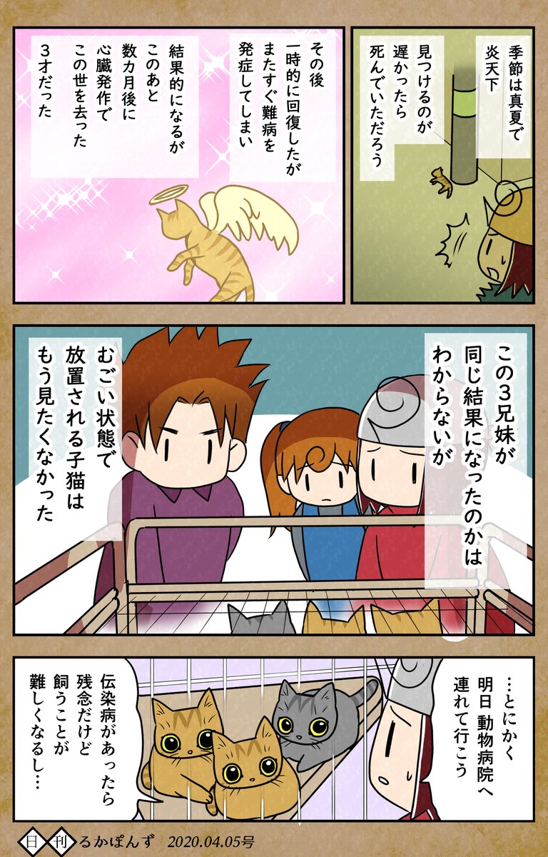 保護猫3兄妹の猫マンガまとめ④。

保護したけど、すんなり飼えなかった話(1/2)

#保護猫3兄妹 #猫 #ねこ漫画 #コミックエッセイ #猫まんが 