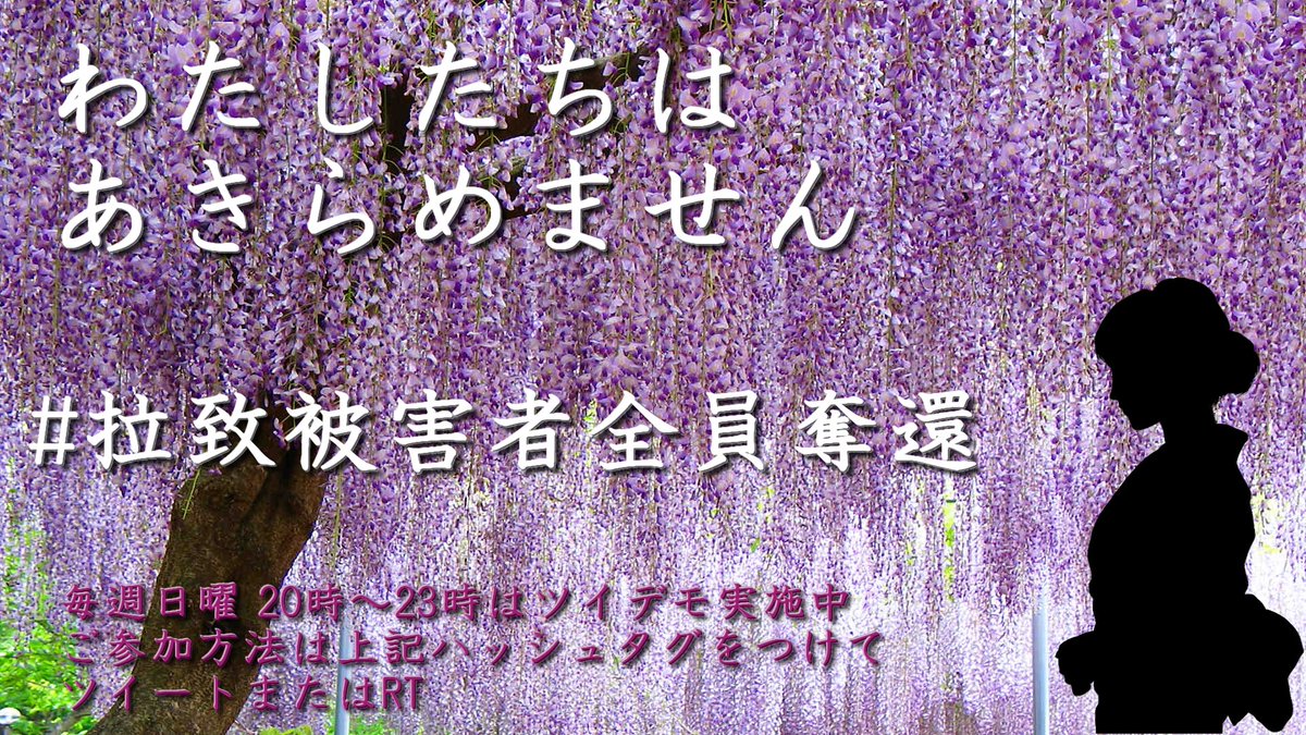 O Xrhsths 藤原東子 3 0 1 0 Sto Twitter 毎週日曜日時 23時はツイデモ実施中です ご参加方法は このタグをつけてツイート Rt 引用rtもok です 拉致被害者全員奪還