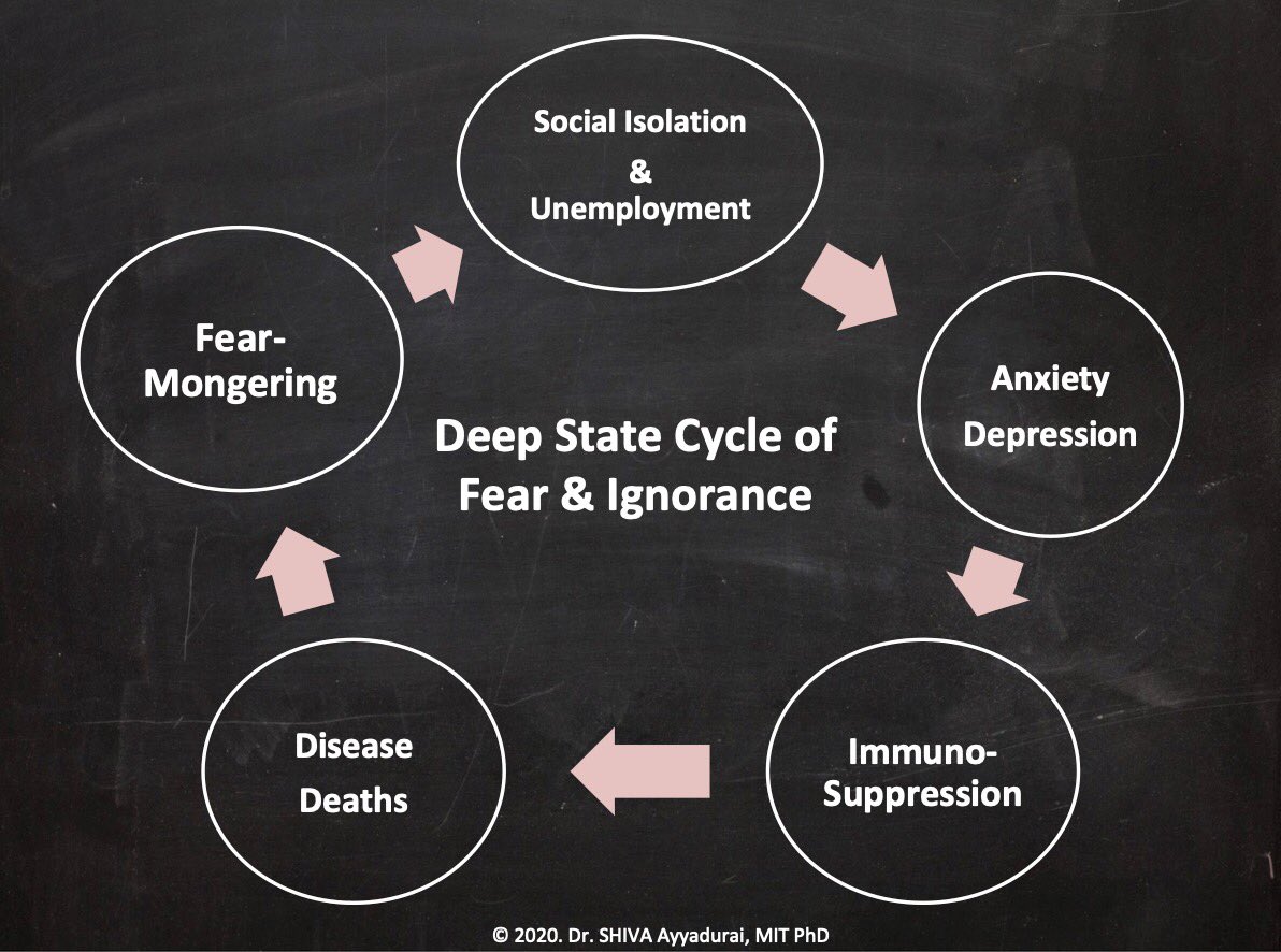 Yes, the Deep State IS using a REAL BioWeapon: the vicious CYCLE of fear-mongering to force social isolation & unemployment inducing anxiety & depression TO WEAKEN Immune Health driving disease & death to fuel the fear. Awakening to this TRUTH is how we WIN our FREEDOM & HEALTH!