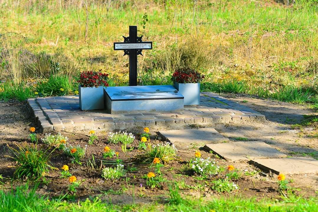 #Halifax #jb845 #Nederweert plantjes watergeven... #Colusdijk in de vroege morgen.