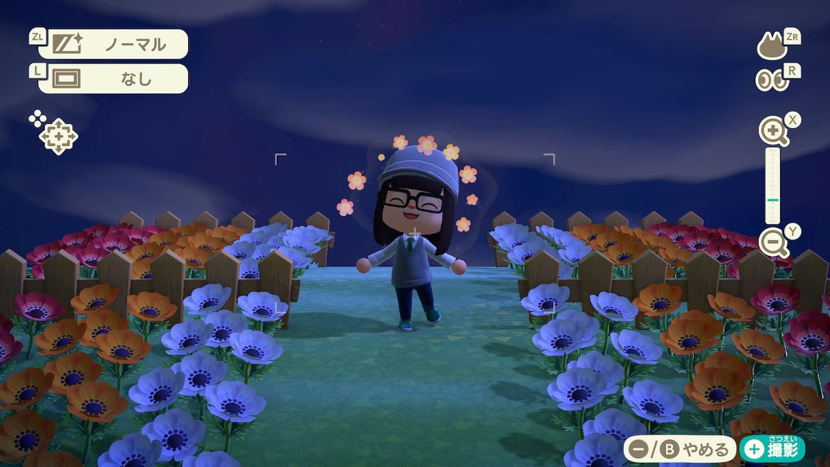 hapi0121's tweet photo. もうよるだー
お花畑はつまが作りました
 #どうぶつの森 #AnimalCrossing #ACNH #NintendoSwitch https://t.co/NUZQhVirNF