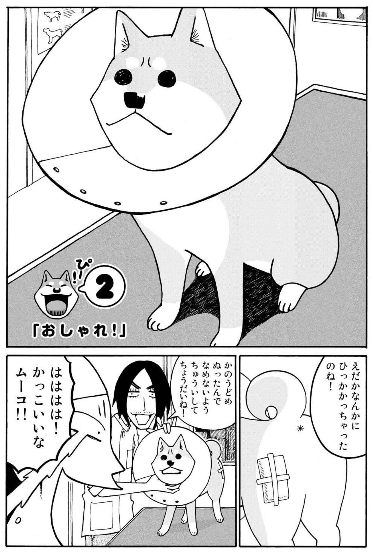 ニャンチューฅˆ•ﻌ•ˆฅ様おまとめページ ニャンちゅうページ】