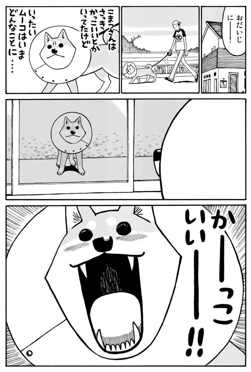 いとしのムーコ こどもばん(1/2) 