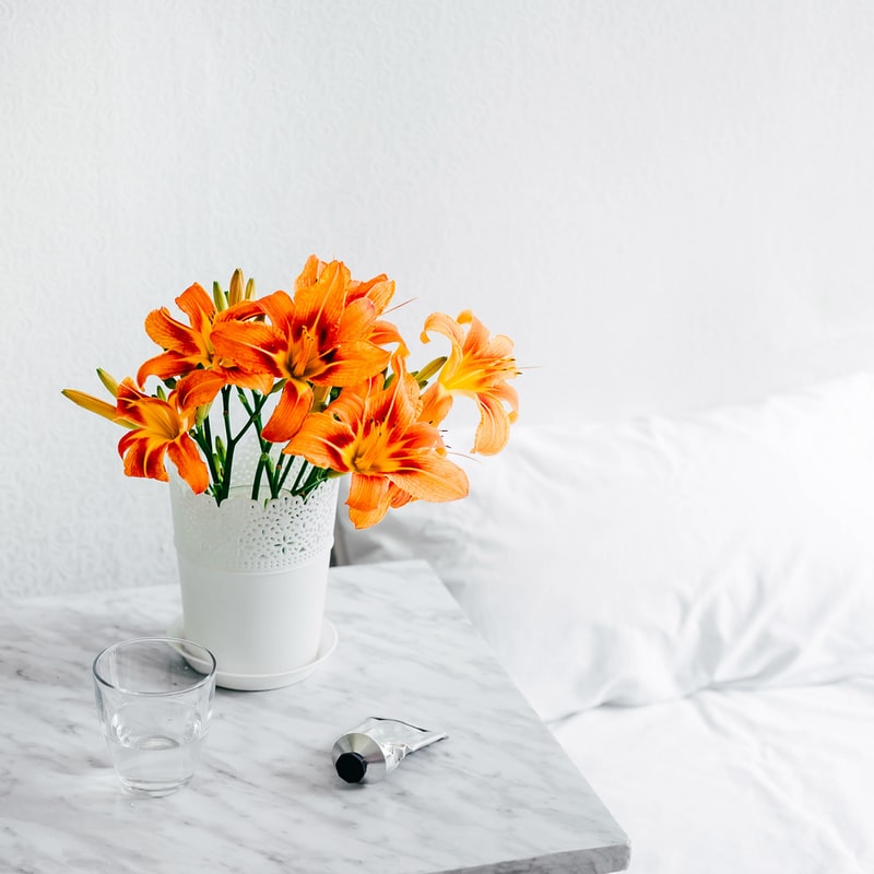 In the Netherlands, the King's birthday will be celebrated tomorrow👑. Normally there would be many festivities, but because of COVID-19 everything is cancelled. King's Day will be celebrated at home this year, but we can also make a feast of it with orange flowers or plants! 🧡