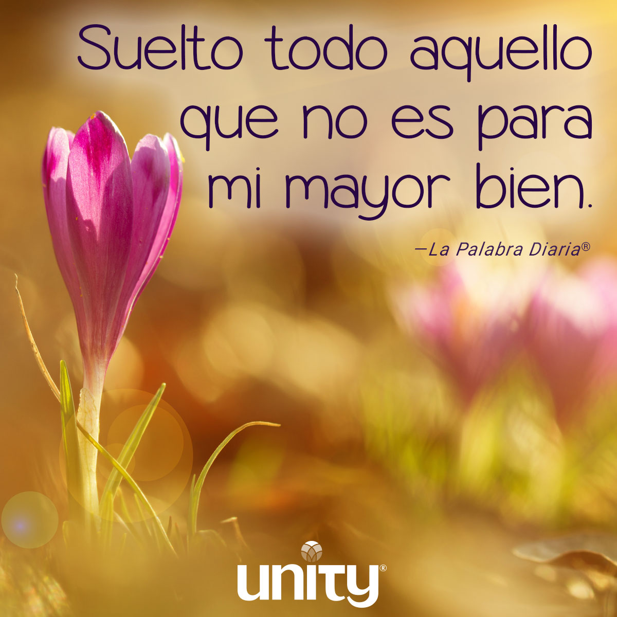 unityenlinea's tweet image. Soltar - Suelto todo aquello que no es para mi mayor bien.
unityenlinea.org/dailyword/solt…