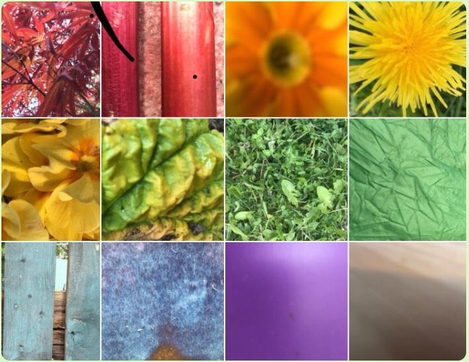 Creativity Tonic tweet media