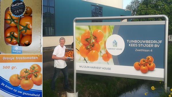 Een gezonde, oranje kroon op Woningsdag - <a href="/BarendseDC/">Barendse-DC</a>
groentennieuws.nl/article/921129…