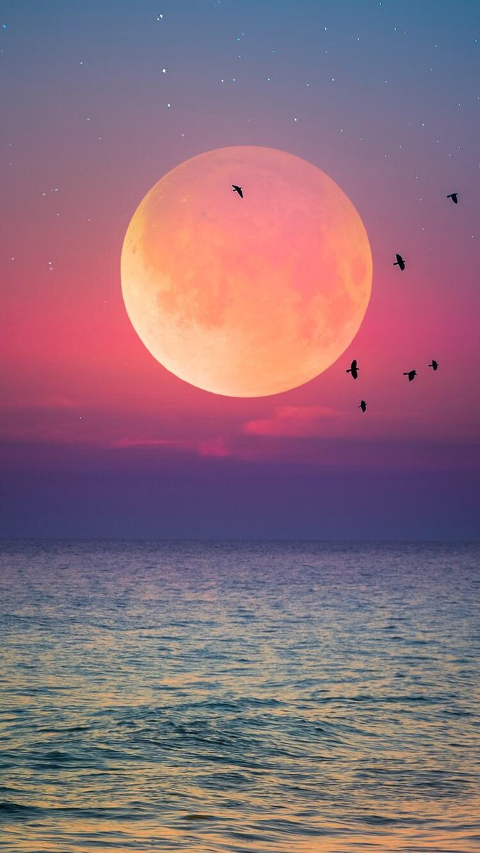 Susan_Langer1's tweet photo. Gentle https://t.co/Fh3GrnSNaA https://t.co/rlNDFEGzdq