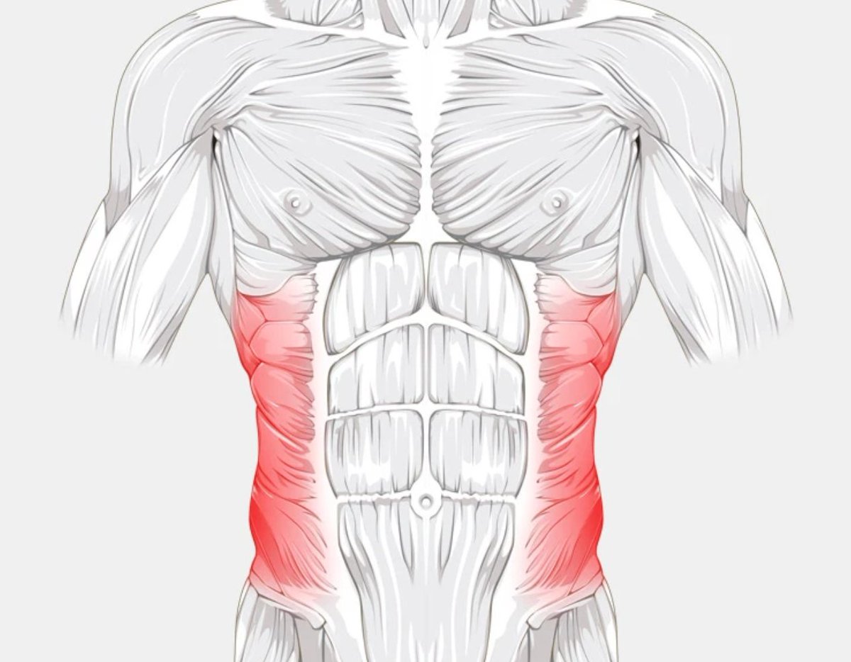 How important ARE these stupid obliques I got back yesterday?...