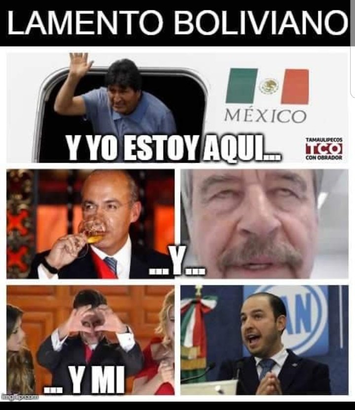 Pedro Tlacomulco tweet media