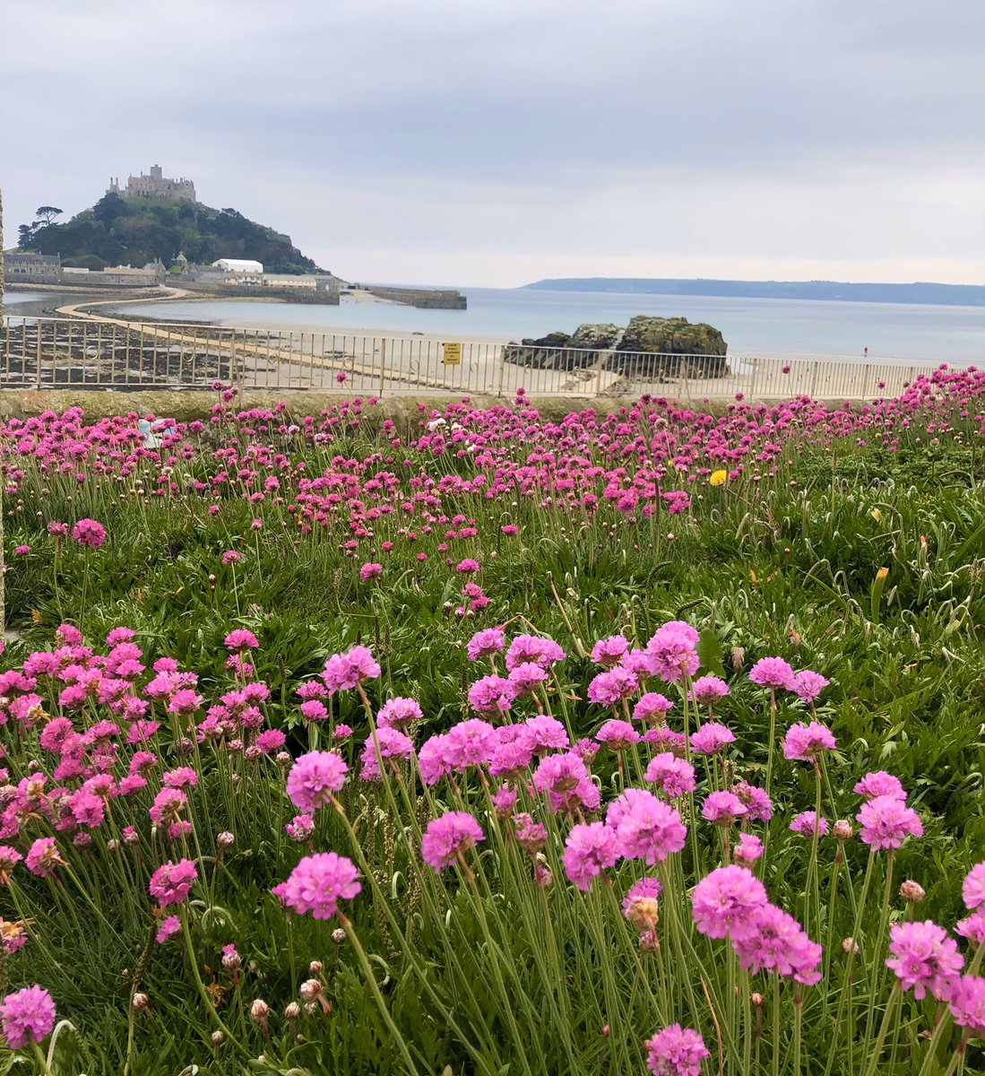 First time out of the house for a week! Well worth the wait! 😊 #lovecornwall <a href="/ntmichaelsmount/">St Michael's Mount</a> <a href="/thegodolphin/">The Godolphin</a> @realcornishcrab