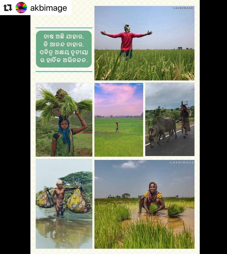 BBSRBuzz's tweet photo. #bhubaneswarbuzz #akshayatrutiya Portraits from rural #odisha pic courtesy  @akbimage ・・・
ଚାଷ ଅଛି ଯାହାର, କି ଆନନ୍ଦ ତାହାର.
ପବିତ୍ର ଅକ୍ଷୟ ତୃତୀୟା ର ହାର୍ଦିକ ଅଭିନନ୍ଦନ🙏. Loc : Odisha, India🇮🇳.
#odisha #odishagram 
@akbimage .
.
#akbimage #odishatourism #bhubaneswarbuzz  #spicoll… https://t.co/atnco7PQQK