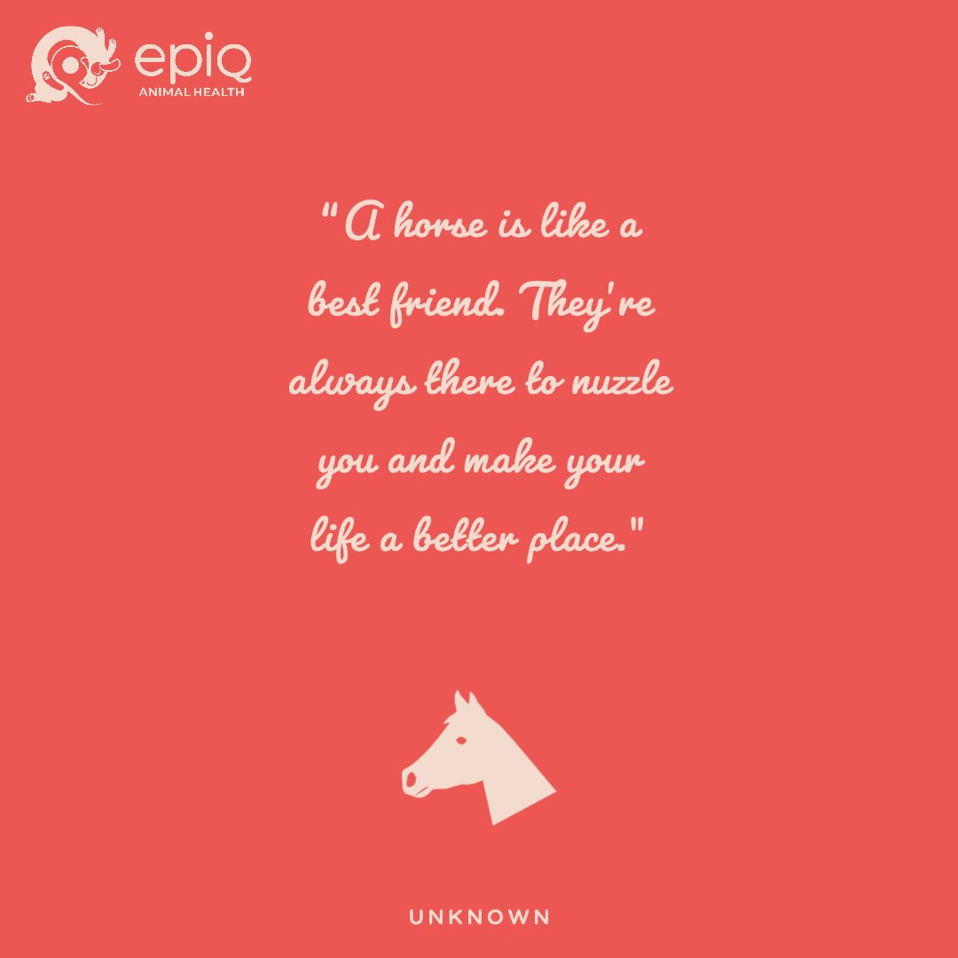 EPiQ Animal Health tweet media