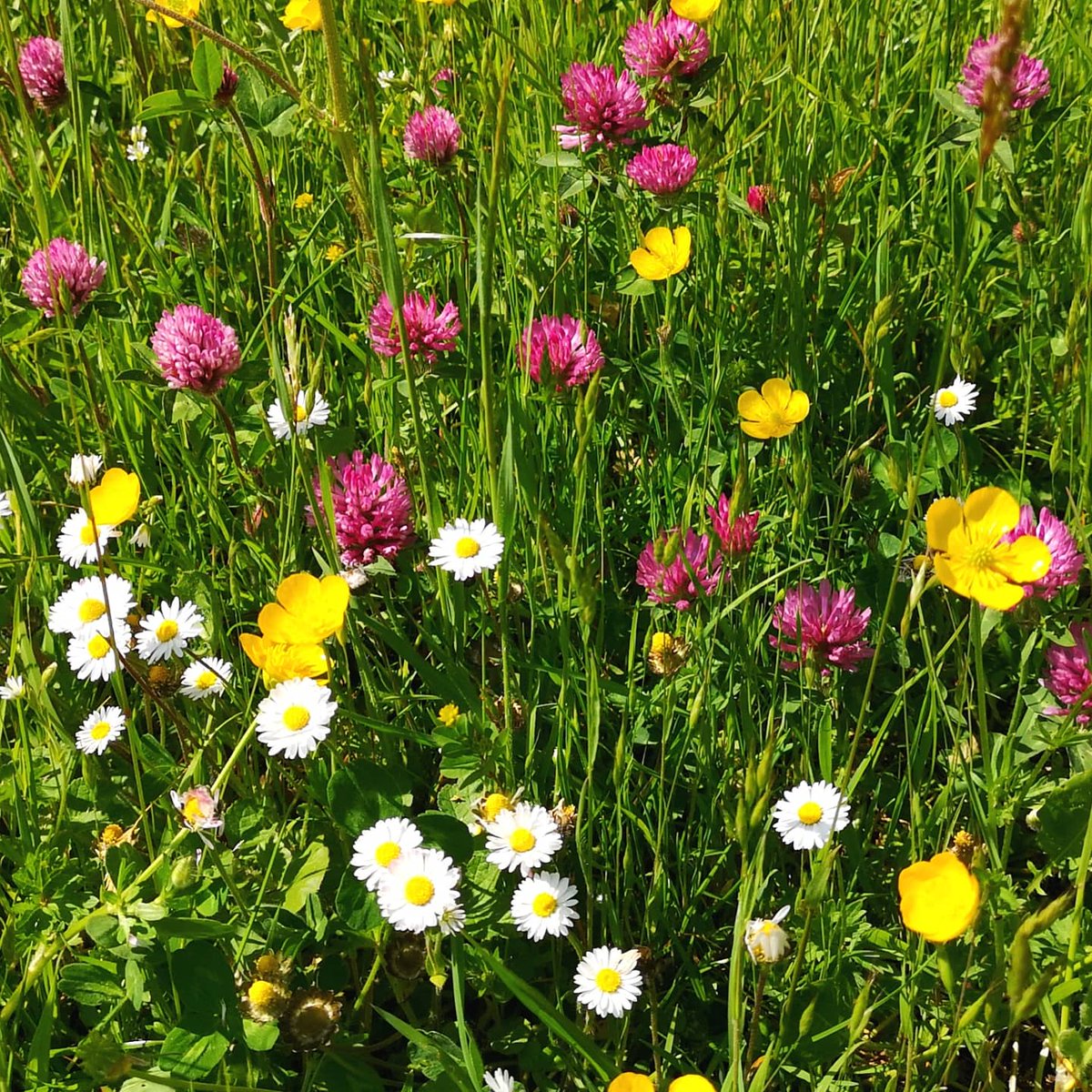 Soulgirl999's tweet image. 2.6 mile walk today. Enjoying the peace and beauty of nature. #2point6challenge