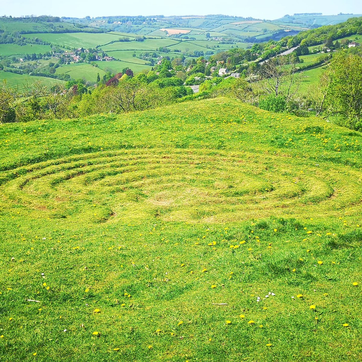 Soulgirl999's tweet image. 2.6 mile walk today. Enjoying the peace and beauty of nature. #2point6challenge