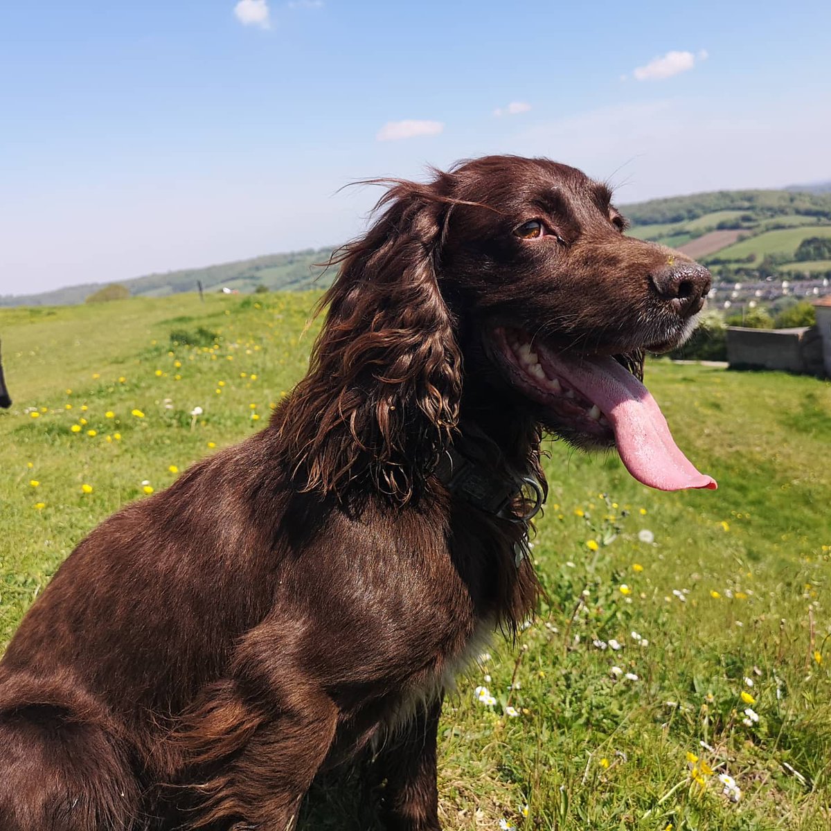 Soulgirl999's tweet image. 2.6 mile walk today. Enjoying the peace and beauty of nature. #2point6challenge