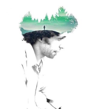 عرض الصورة على تويتر