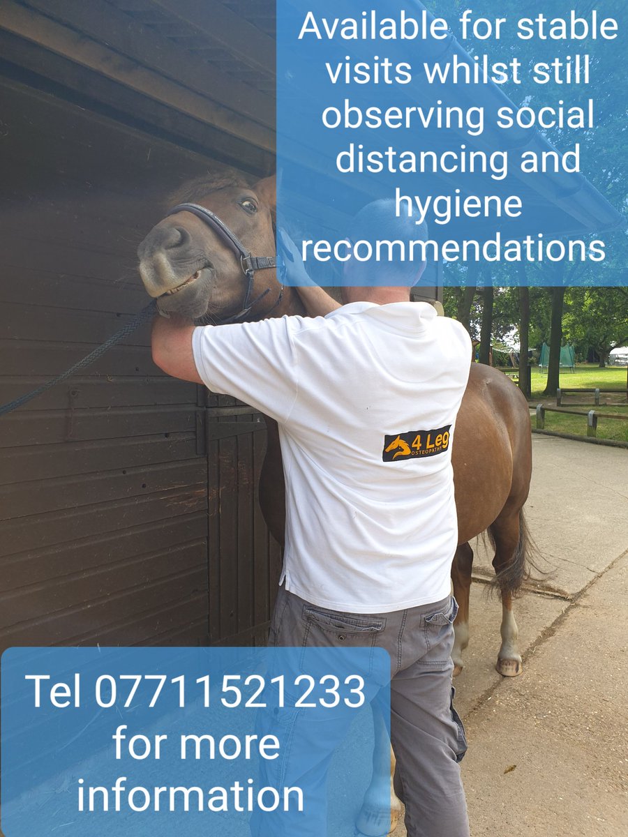 painter_calvert's tweet photo. Feel free to contact for more information in how equine osteopathy can help your horse or to book a visit. Discounts available for multiple appointments 
#essexequineosteopathy #equineosteopath #equinetherapy #horses #Osteo #Osteopath #essex #essexosteo #osteoessex #Backman https://t.co/GQijTYuGKr
