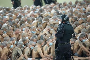 Προβολή εικόνας στο Twitter
