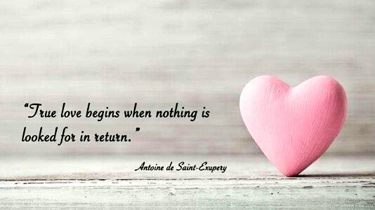 jevaprakash's tweet photo. @Be posîtive always ....
#Make sure trust&amp; love each other 
#Must be true ever https://t.co/VioDB4aF39
