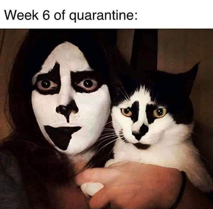 scrunchiebear's tweet photo. 😂😂😂 https://t.co/SRRaf6FOD5