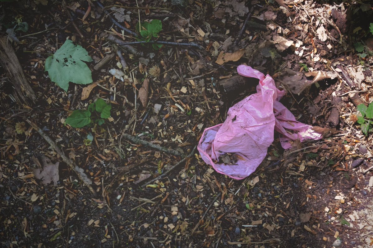 Einmal im #uhlenhorst Wald in #mülheim unterwegs. Ekelig! #coronavirus #coronagegendummheit #Covid_19 #lockdown