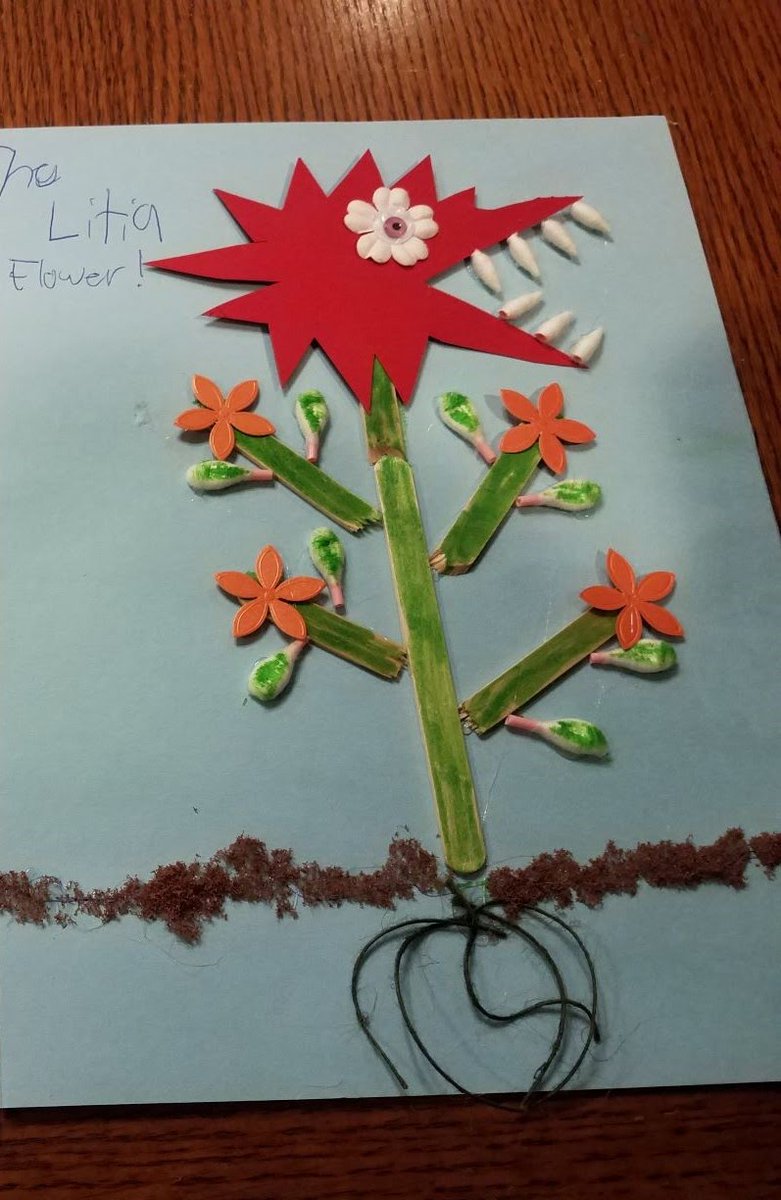 STEAM_SCES's tweet photo. I just have to share these amazing STEAM creations from last week! Second grade created a new plant on the planet of Alphabetri and the plant had to be able to defend itself! Kindergarten created fairy houses using pieces of nature. Keep up the great job Gators! https://t.co/c1vHe1SgaX