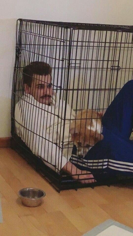 cause_of_tears_'s tweet photo. @anonym_twt Жизненно... https://t.co/rS5zGBGDpb