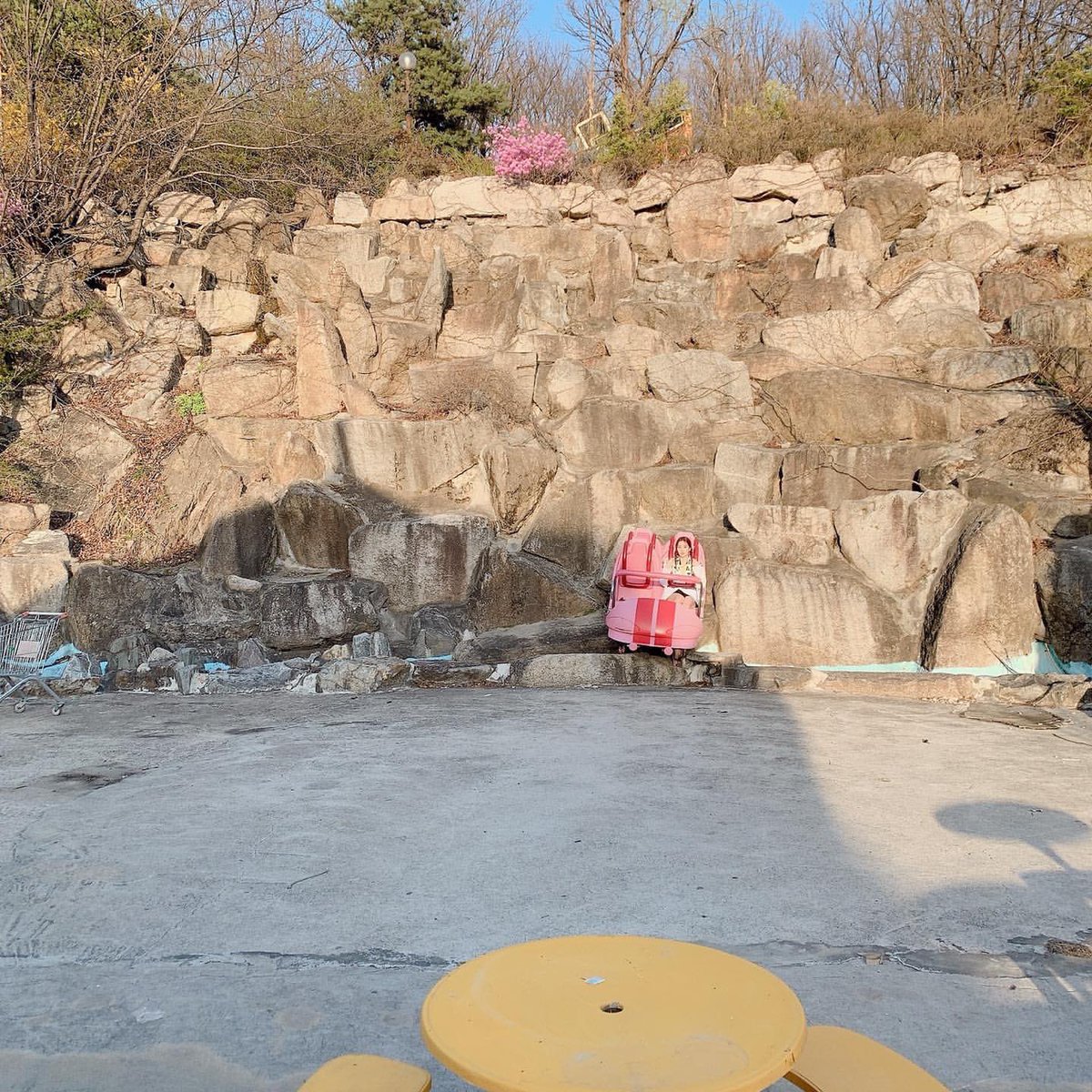 🐰생일 이후 첫 공계셀카 ❤️💜❤️💜