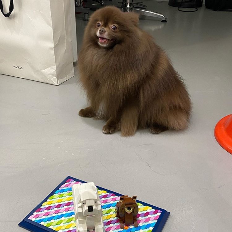 * ( 💭 )

       เค้า ‘ ไฟท์เฮน ‘ jennie made in 96 ’𝓼 𓈒 ˙  จะมา ˙ 𓈒  ✿  ˓ แลกฟอล – ตามทัก ˒  、♡

 / ยพท ลฟตท 。、🍶