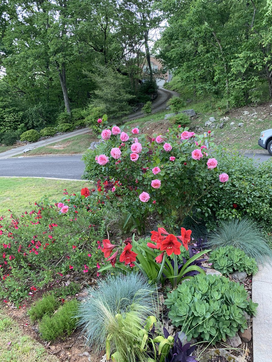 Huffman_NA's tweet photo. Our Huffman Neighbors got it looking good!  Keep up the good work. https://t.co/04WhFwUJpJ