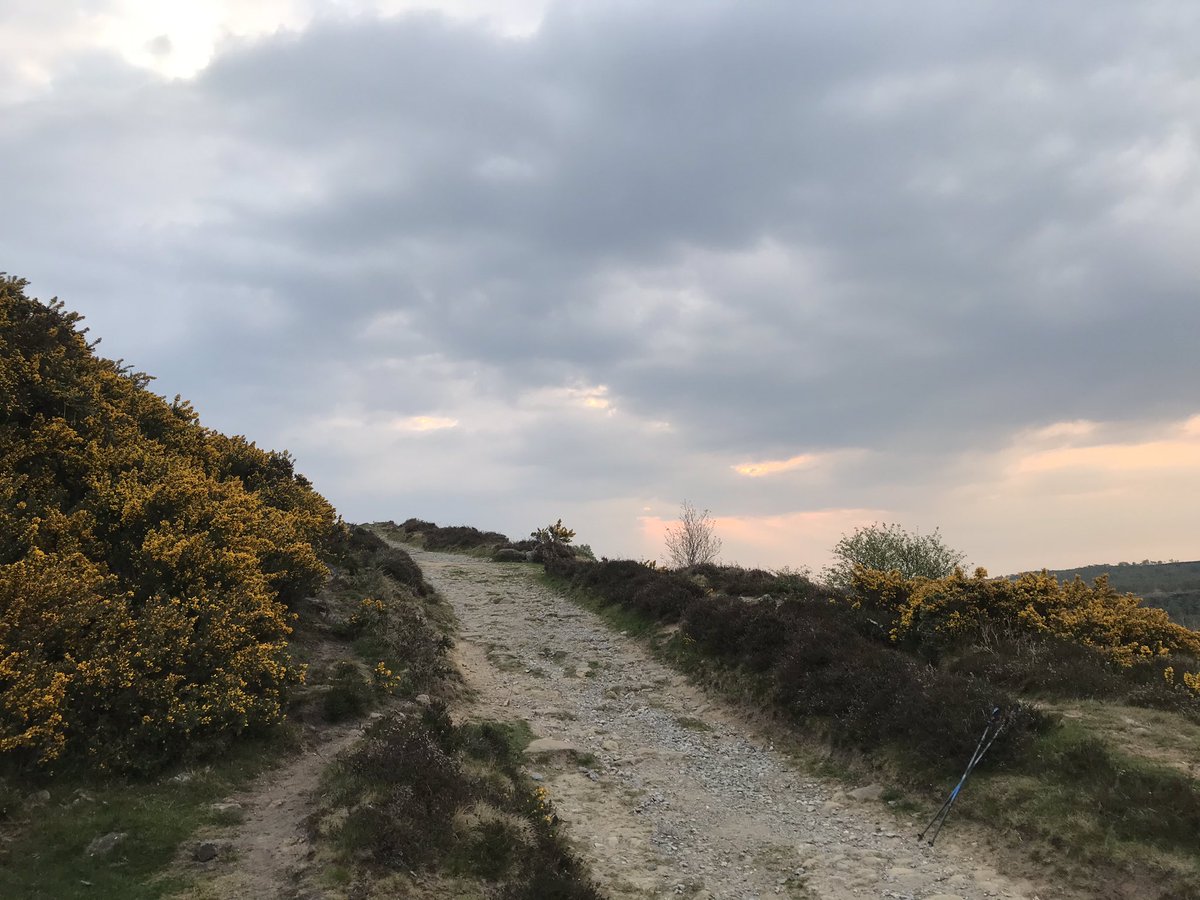 rc1972's tweet image. #2point6challenge Conroy family run challenge done. Children did 2.6 miles, Mrs C did 8 miles (2+6) and I did the 26.2 running up to the edge and back a few times. In aid of @mndassoc via JustGiving (search Richard Conroy). Tally so far £391 thanks so much, you people are great!