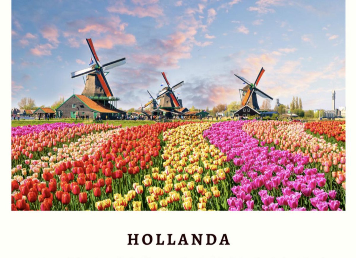 #HollandaVizeRandevusu #Hollandavizesi 
#hollandavizeişlemleri #VizeRandevu   ile çok kolay ve hızlı! Detaylı bilgi için iletişime geçmeniz veya websitemizi ziyaret etmeniz yeterli. https: // vizerandevu.com/Hollanda