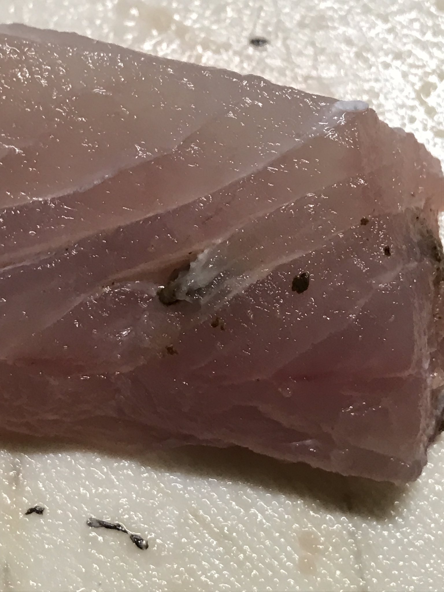 تويتر 無口マン على تويتر Sinsanesse17 調べたら ディディモゾイドって寄生虫みたいです