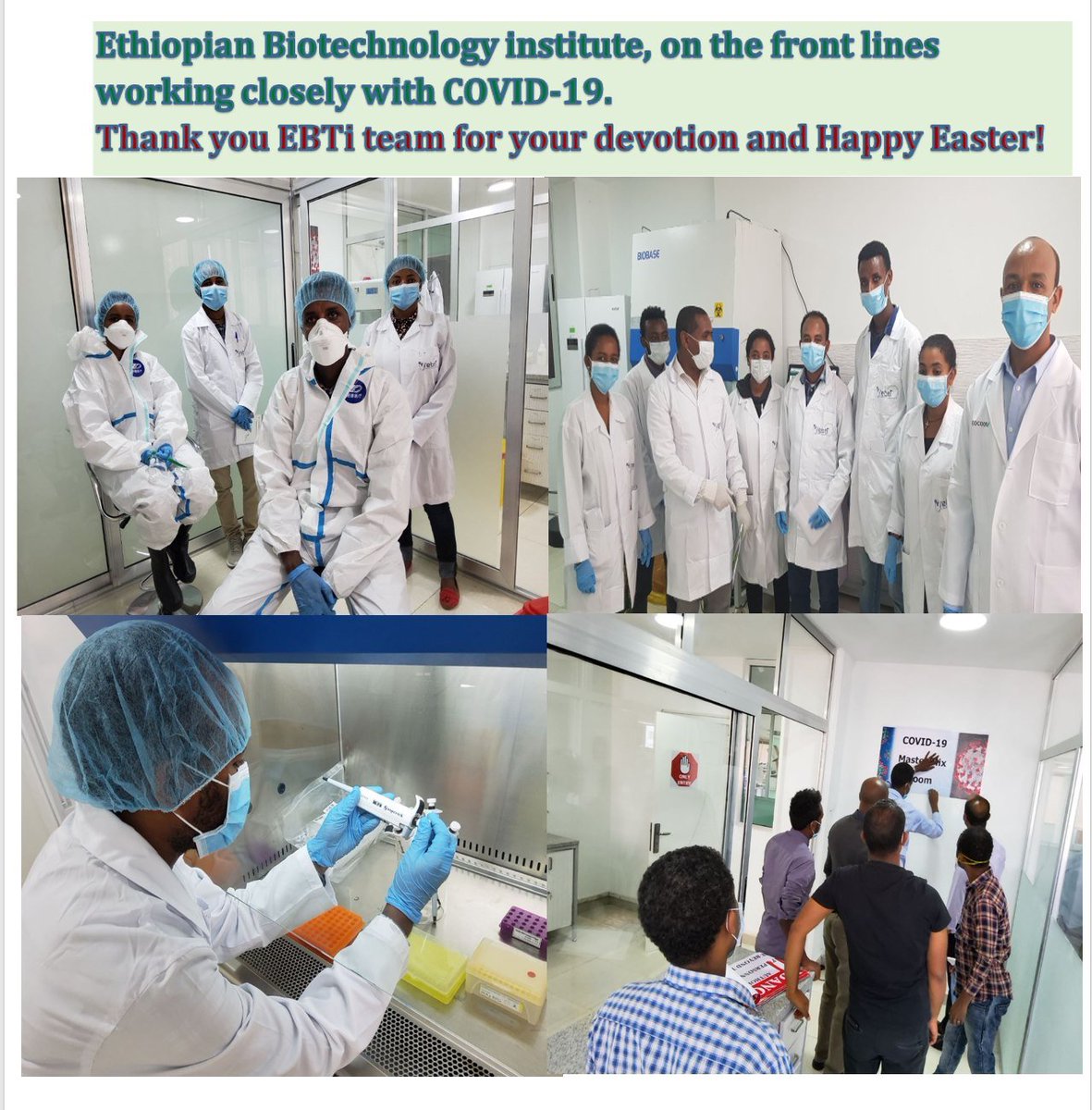 Ethio_Biotech's tweet photo. https://t.co/WXHE7c6Gtn
