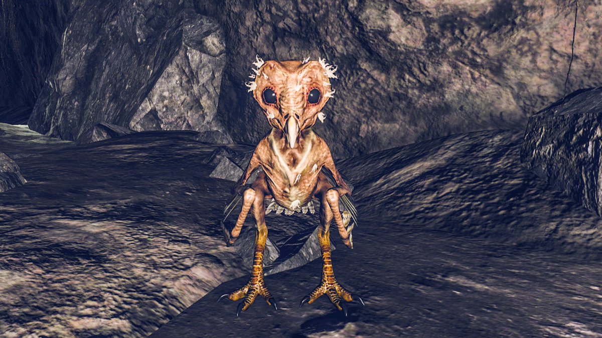 Ella Hrairah tweet media