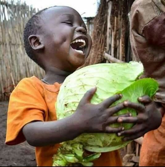 JayWasJay's tweet photo. @Lebzito8 😂 😂 😂 😂 😂 Ndahleka ndaze ndafuman' I Corona https://t.co/0LHNS5kJBf
