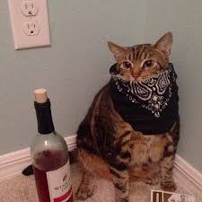 ThomasPWue's tweet image. Macht euch Bereit!
#SystemExit #ExitRacism