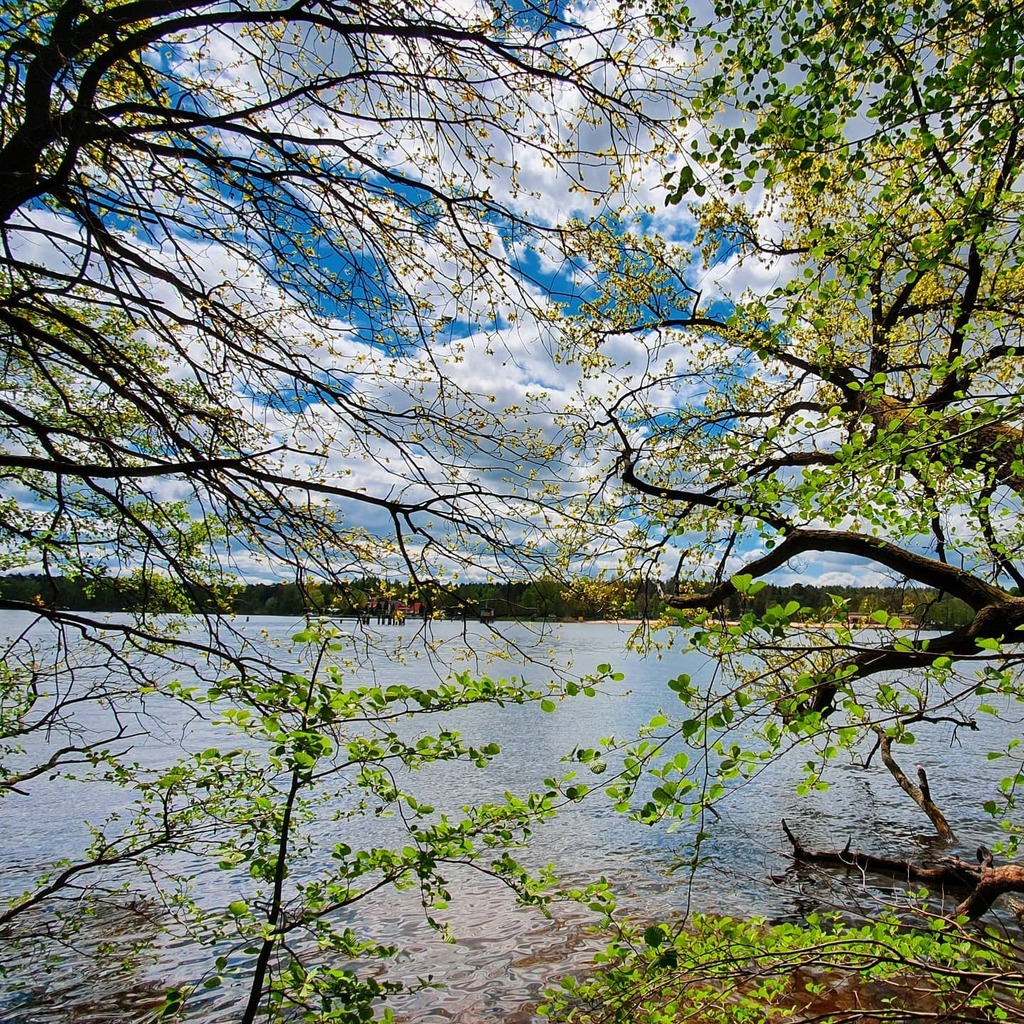 JustATravel's tweet photo. And life goes on...
🌿🌿🌿
A życie toczy się dalej...
-
-
-
#lifegoeson #życie #zielono #springtime🌸 #treesofinstagram #lovethelakes #jezioro #chmury #pozytywnie #krajobraz #jestpieknie #natureseekers #natureloversofinstagram #naturelover #outdoorlovers #spacer #langersee #… https://t.co/RTNIArr9yx