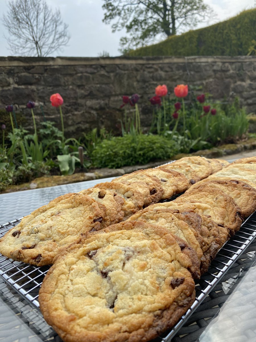 MorganGarnett3's tweet photo. biscuit week🍪@Robertson_Sed https://t.co/mNy6l5017h