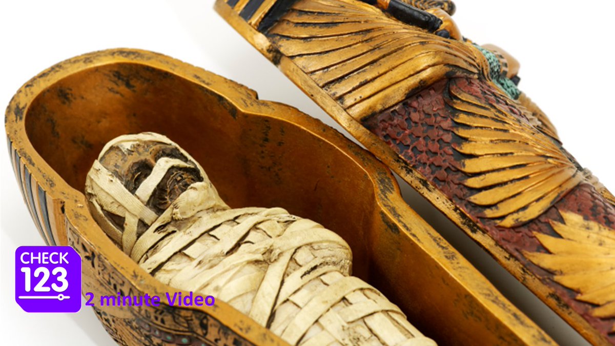 Check123 tweet media