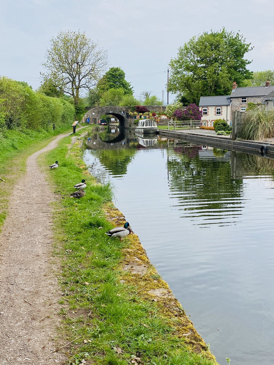 Sunday strolls 👣
#15miles #govilon