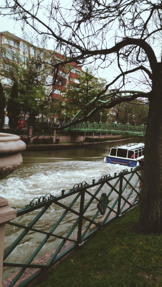 Seni sevmeyi ağır ödüyorum