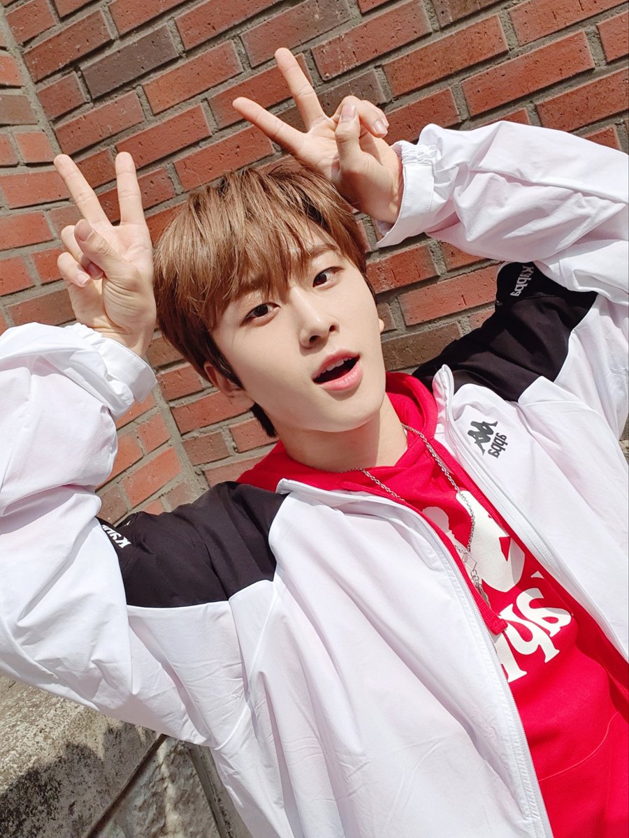 jflo_newkidd's tweet photo. [뉴키드 #진권] 케이크 문제 ��답은.. 1번!! 입니당😉 뉴키드 꽃길 걸을때 팬 여러분도 함께 해주세용💐🌸🌹

#Newkidd #뉴키드 #Jinkwon #진권 #Debut #데뷔 #1stanniversary #365days https://t.co/hrGWkJDv4o