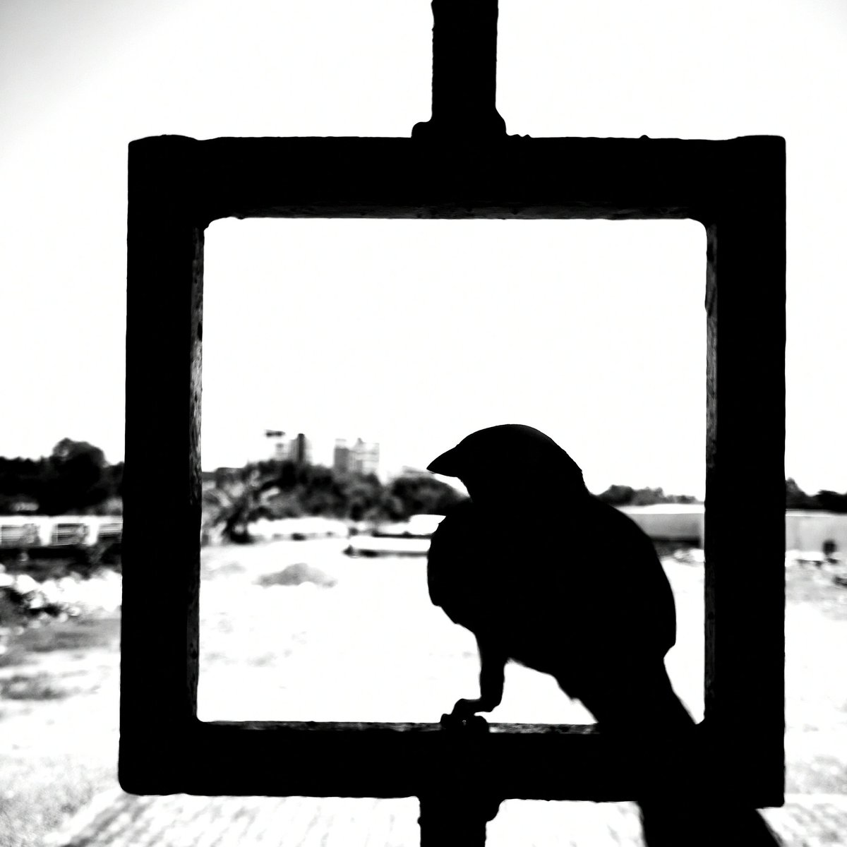 #NouvellePhotoDeProfil