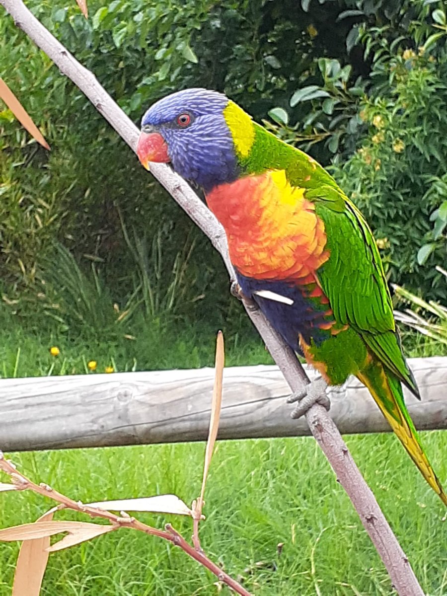 ClaireLaaffat's tweet image. #exitRacism #SystemExit
Life is colorful.