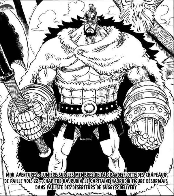 Hiru Enzio ☠️ on Twitter: "...Hajrudin lors de l'arc Dressrosa. Ce même  Hajrudin qui a développé une grande haine envers Big Mom à cause de la mort  du Jorl, qui est le