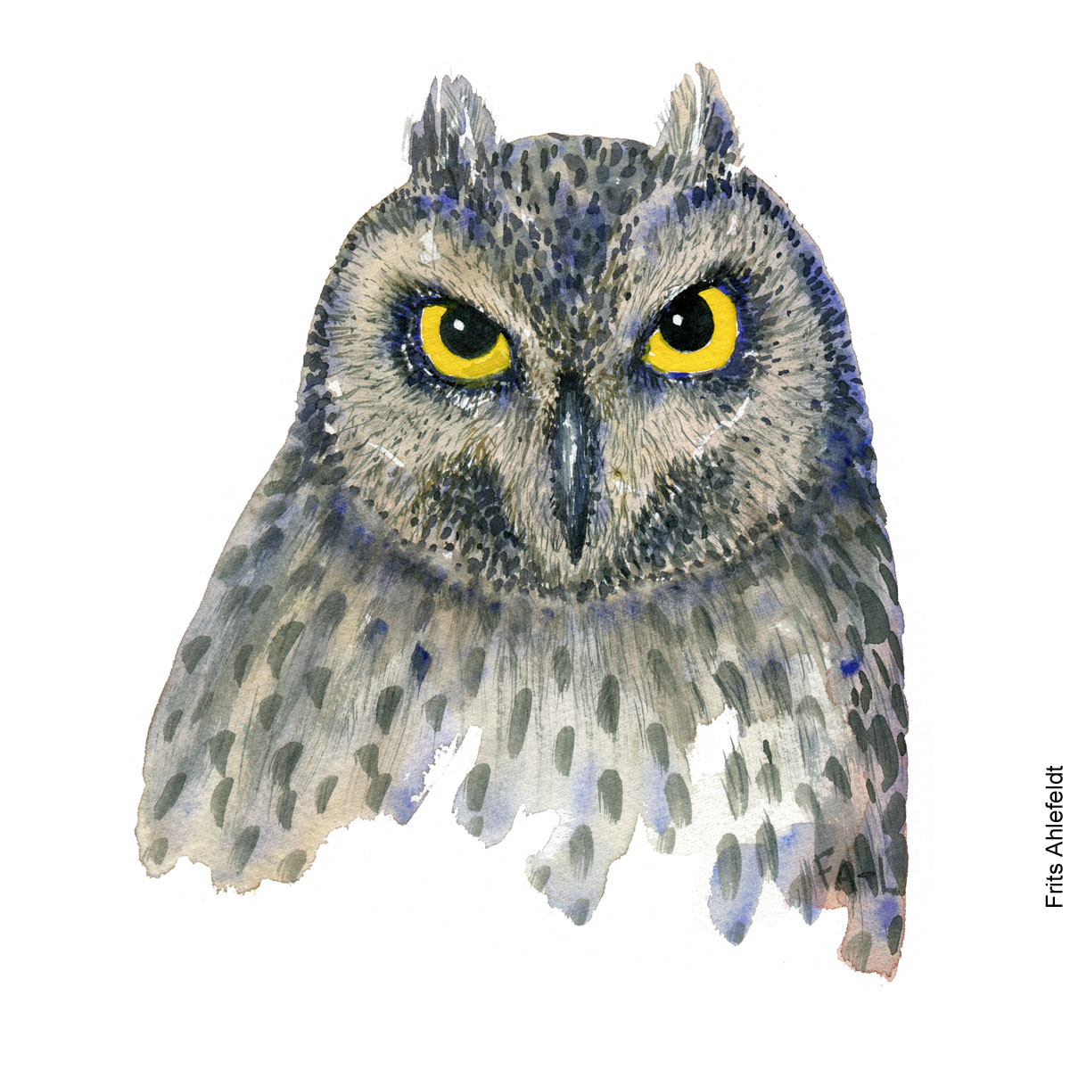 101biodiversity's tweet photo. This owl original has been sitting in my window for the last days. Yesterday it flew off, in a new frame, to the kitchen of a young couple #watercolor #owl #birds #art #illustration #watercolourpainting #copenhagen #akvarel https://t.co/YW6oX7rZ02